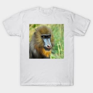 Mandrill 002 T-Shirt